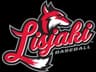Kranjski Lisjaki